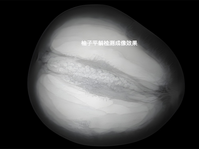 水果异物检测机